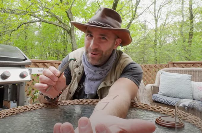 Wasp vs. Hornet – Coyote Peterson’s Epic Encounter!